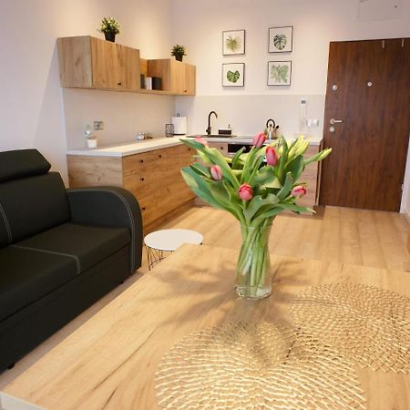 Apartament Na Piernikowym Z Miejscem Postojowym Stary Toruń Екстериор снимка